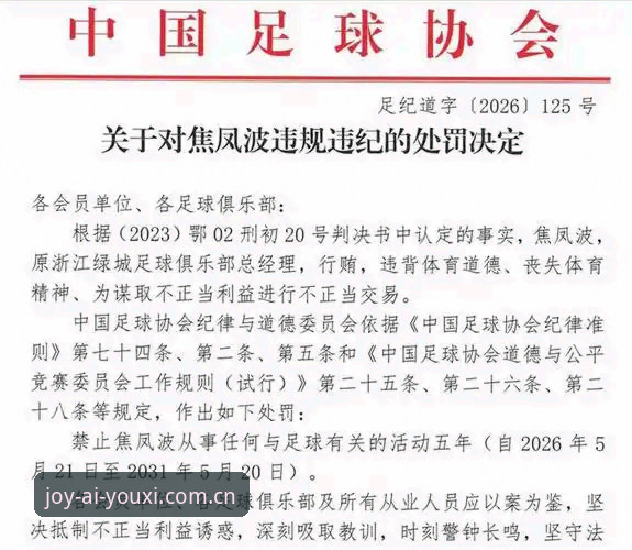 爱游戏安卓版教程 中国足协第三批禁足名单全面解析:足球反腐风暴下的行业重塑与深层变革